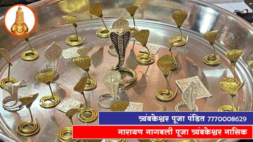 नारायण नागबली पूजा त्र्यंबकेश्वर नासिक