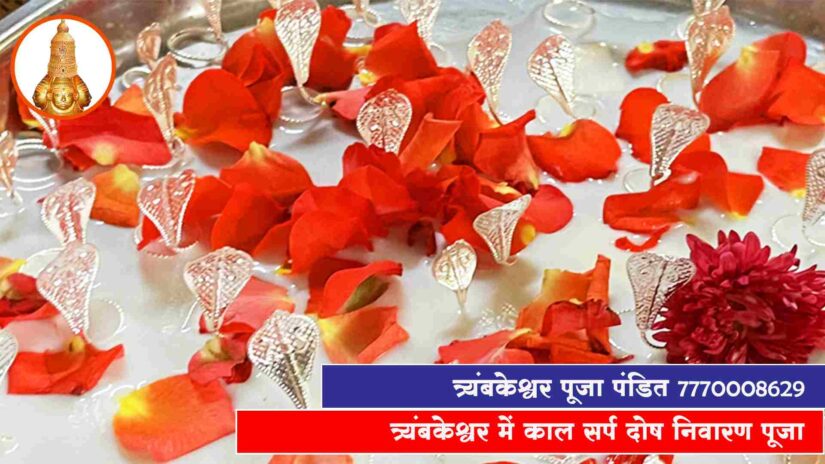 त्र्यंबकेश्वर में काल सर्प दोष निवारण पूजा
