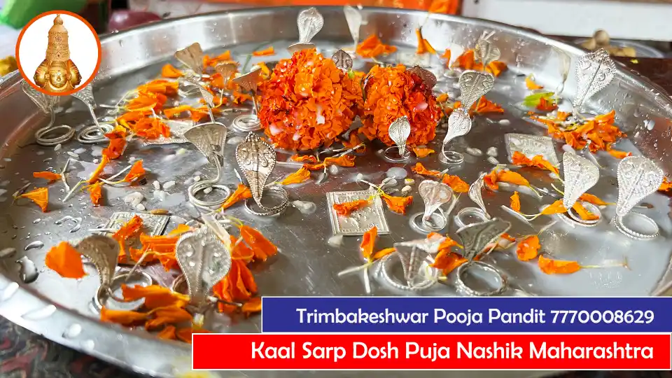 Kaal Sarp Dosh Puja Nashik Maharashtra