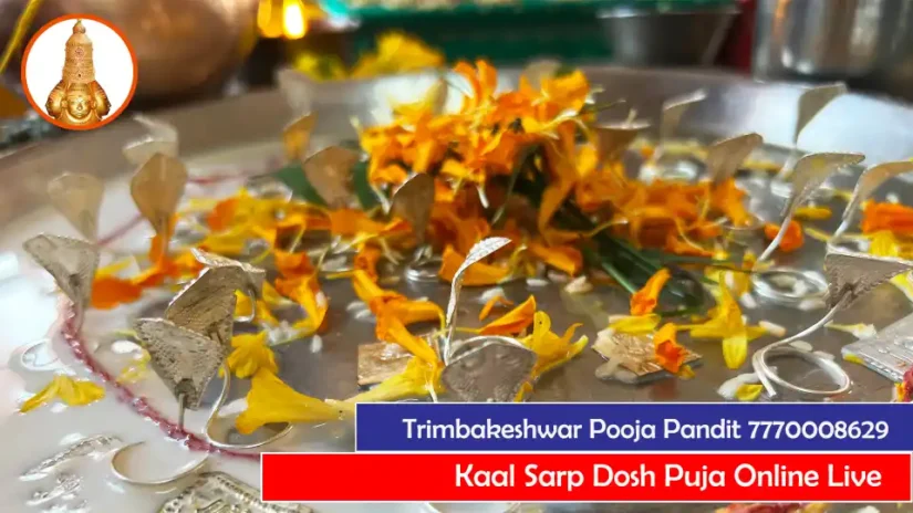 Kaal Sarp Dosh Puja Online Live