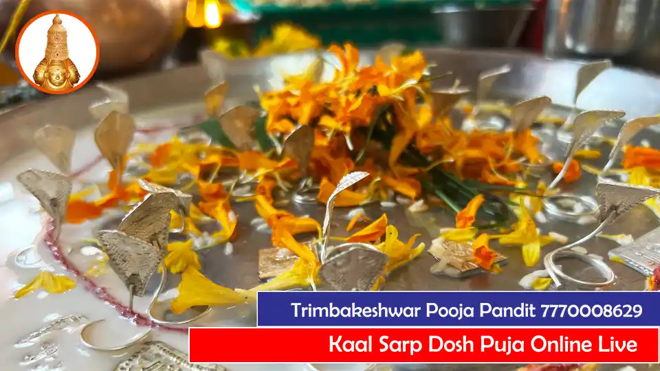 Kaal Sarp Dosh Puja Online Live