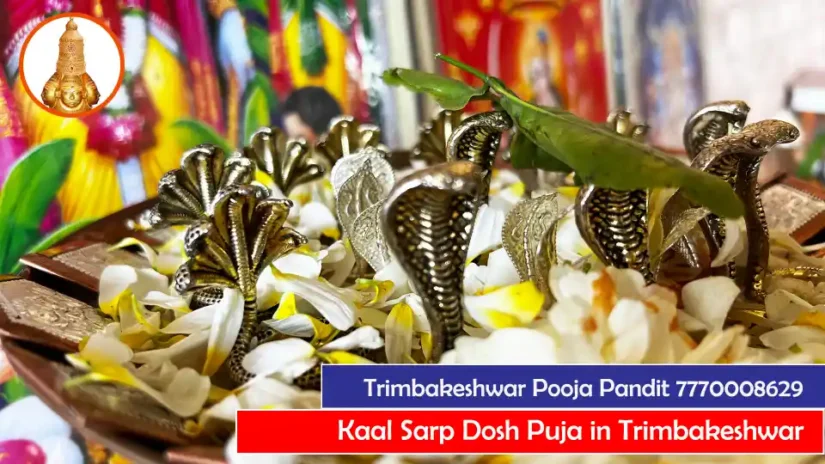 Kaal Sarp Dosh Puja in Trimbakeshwar