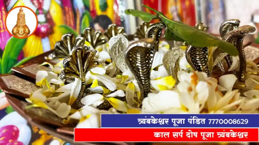 काल सर्प दोष पूजा त्र्यंबकेश्वर