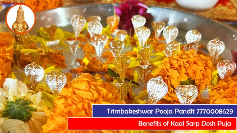 Benefits of Kaal Sarp Dosh Puja